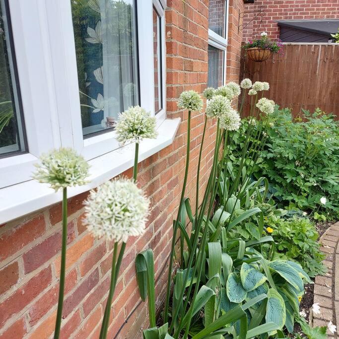 Cheerful, Cosy, One Bedroom Home With Patio And Parking Newbury  Extérieur photo